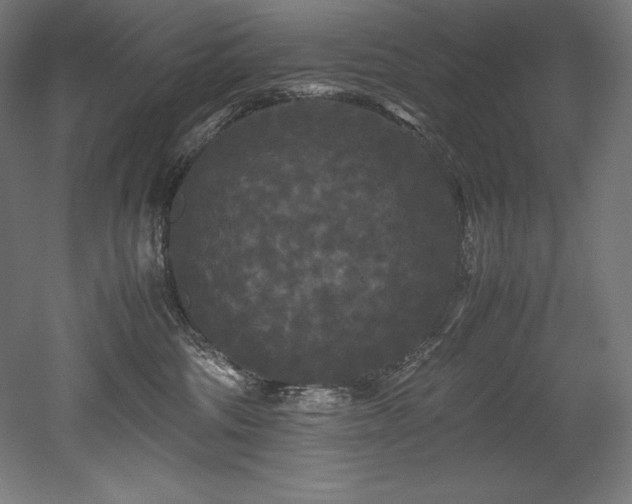 X0000052650330200507011419