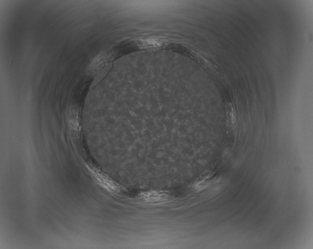 X0000052650331200507011419