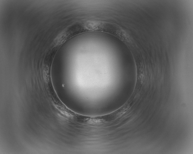 X0000052650332200507011419