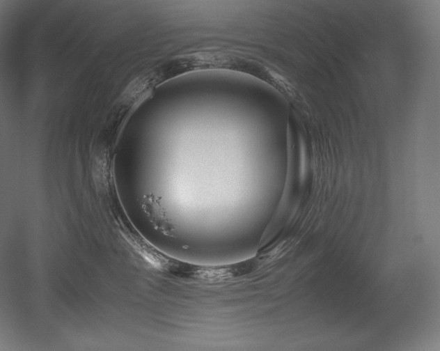 X0000052650333200507011419