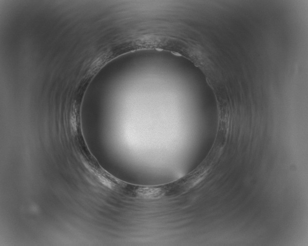X0000052650334200507011419