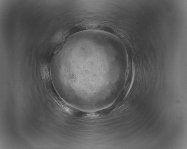 X0000052650335200507011419