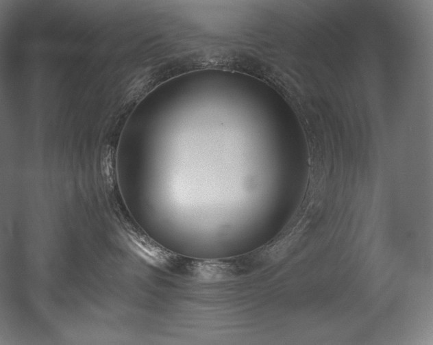 X0000052650336200507011419