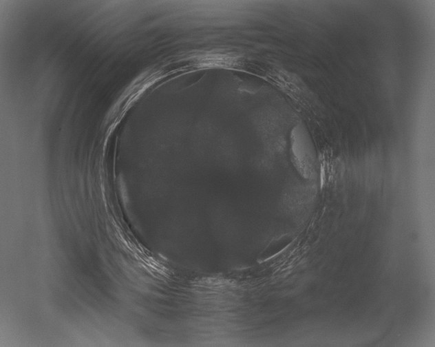 X0000052650339200507011418