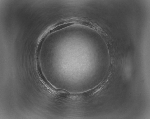 X0000052650341200507011418