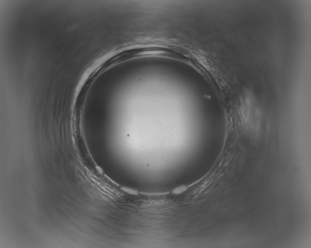 X0000052650342200507011418