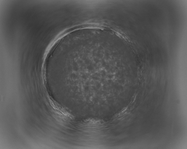 X0000052650343200507011418