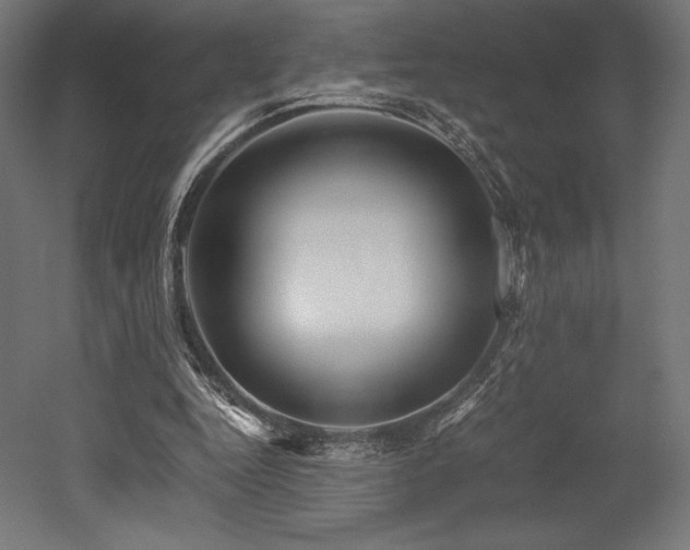 X0000052650344200507011418