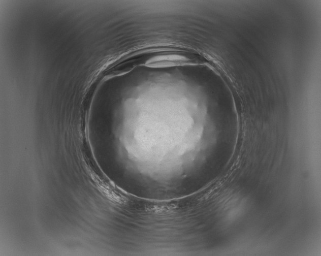 X0000052650345200507011418