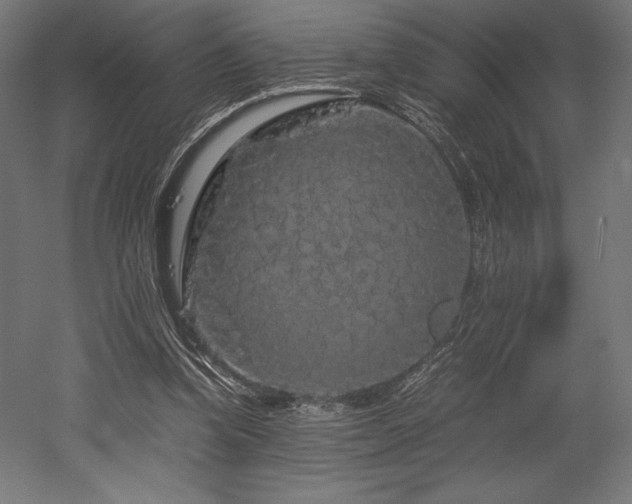 X0000052650346200507011418