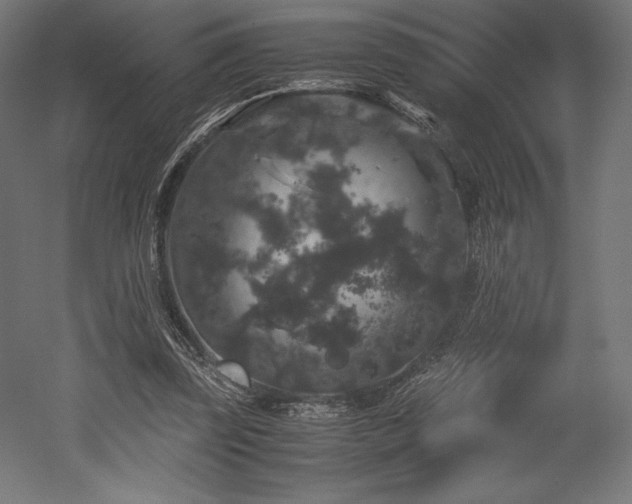 X0000052650347200507011418