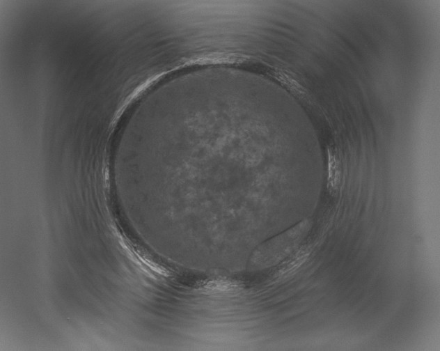 X0000052650348200507011418
