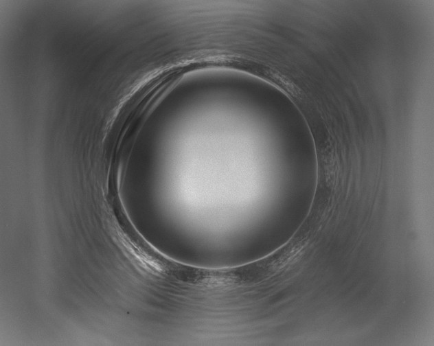 X0000052650350200507011418
