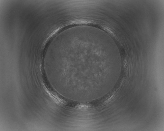 X0000052650352200507011418