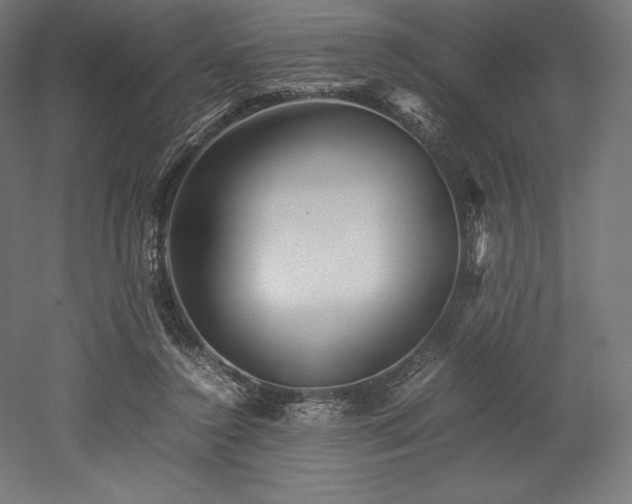 X0000052650356200507011418
