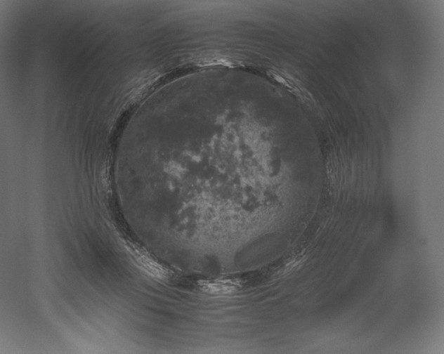 X0000052650359200507011418