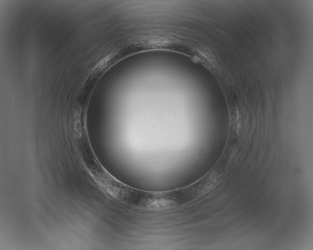 X0000052650360200507011418