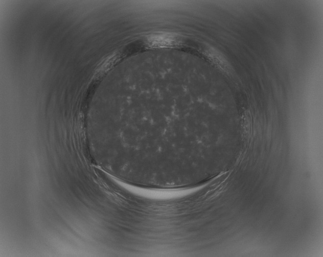X0000052650361200507011418