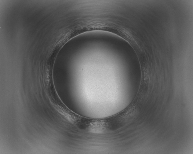 X0000052650362200507011418