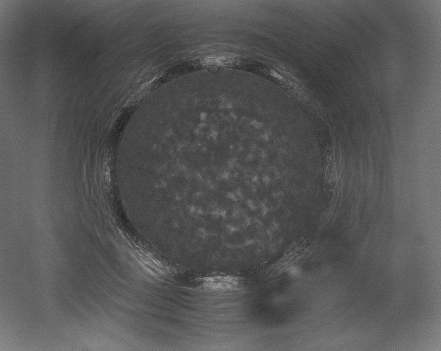 X0000052650363200507011418