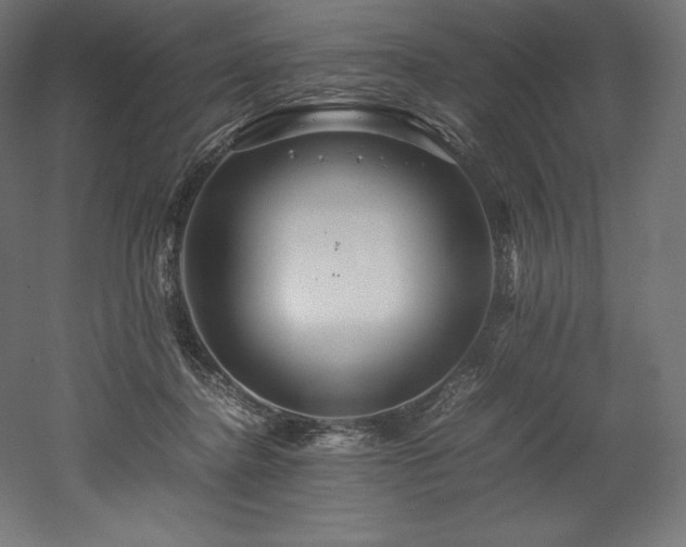 X0000052650364200507011418