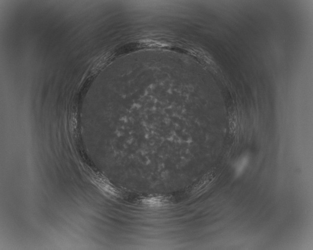 X0000052650365200507011419