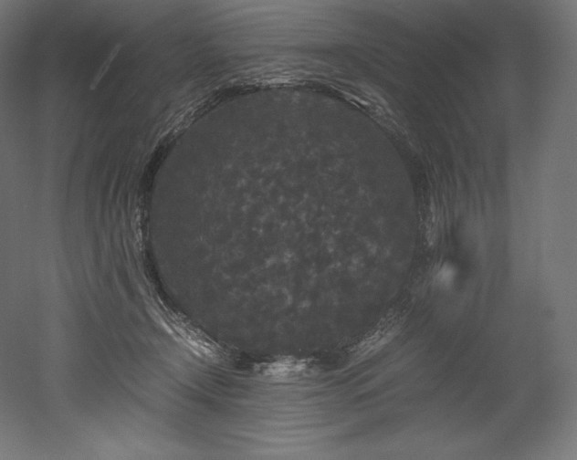 X0000052650366200507011419