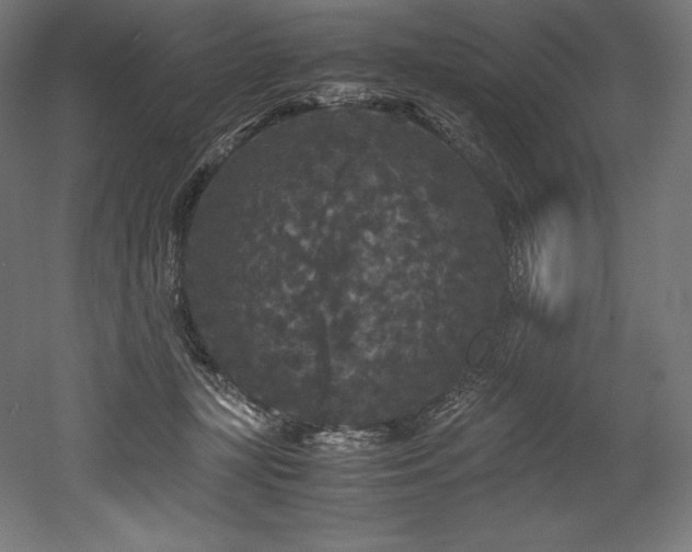 X0000052650367200507011419
