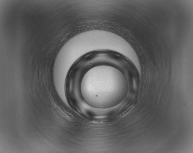 X0000052650368200507011419
