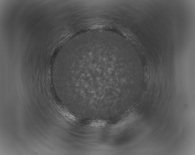 X0000052650369200507011419