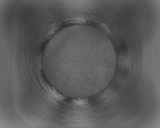 X0000052650370200507011419