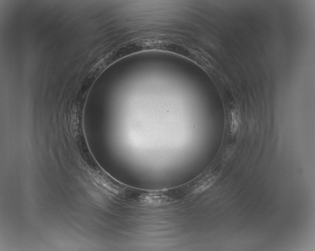 X0000052650372200507011419