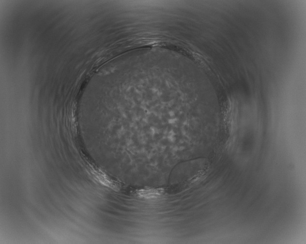 X0000052650373200507011419