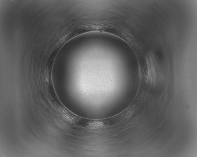 X0000052650374200507011419