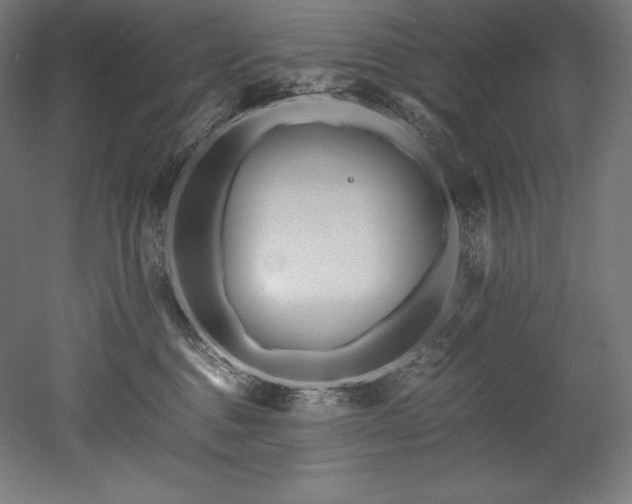 X0000052650376200507011419