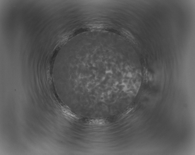 X0000052650377200507011419
