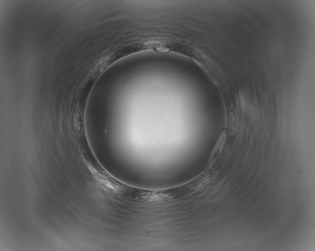 X0000052650379200507011419