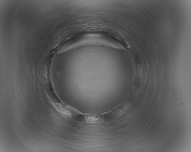 X0000052650380200507011419