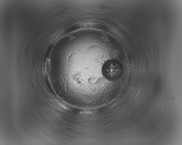X0000052650381200507011419