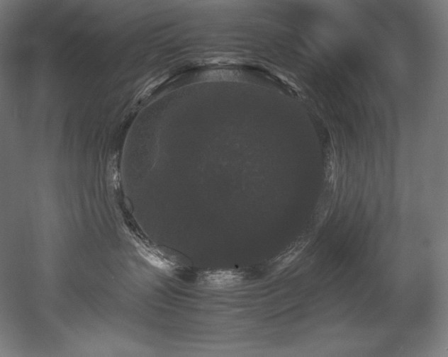 X0000052650383200507011419