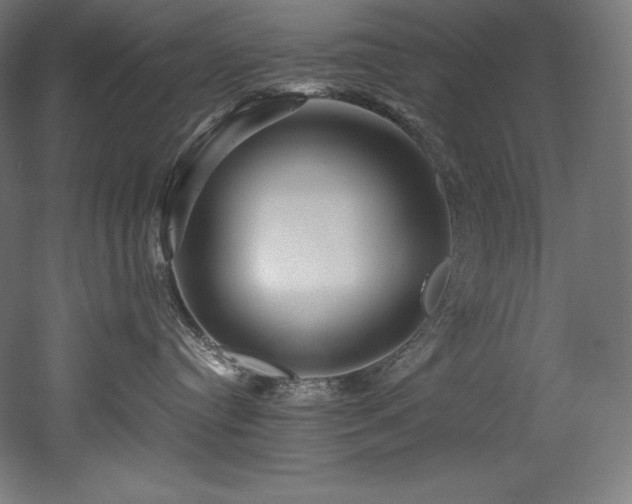 X0000052650384200507011419