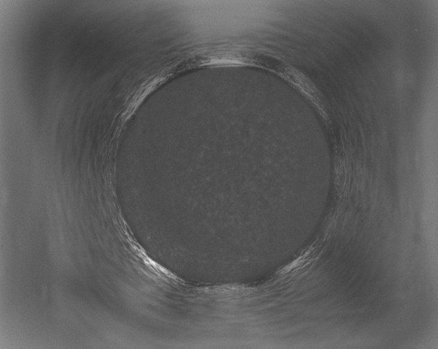 X0000052650385200507011418
