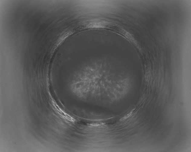 X0000052650386200507011418