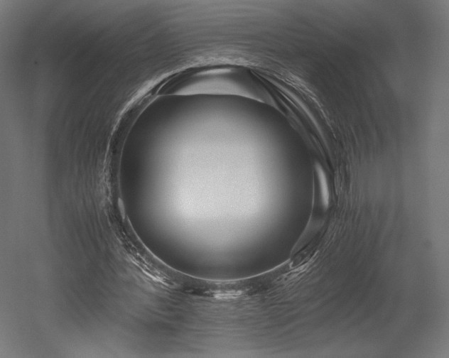 X0000052650388200507011418