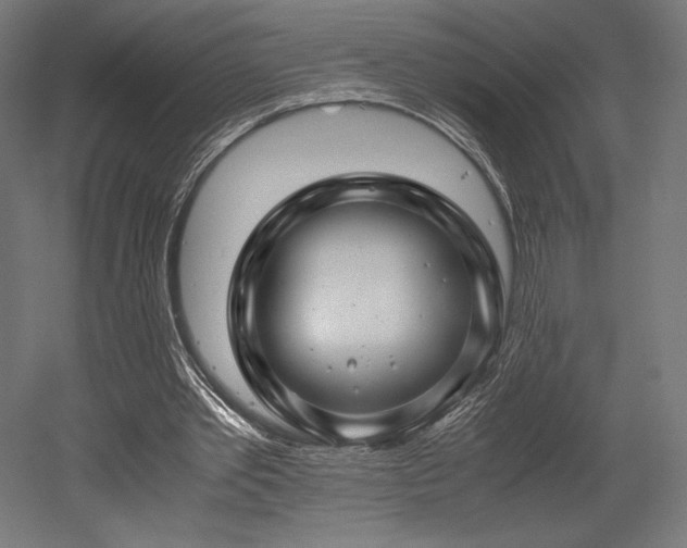 X0000052650389200507011418