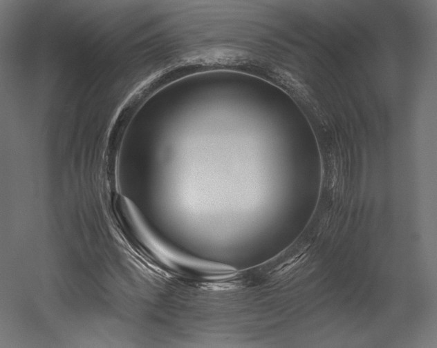 X0000052650392200507011418