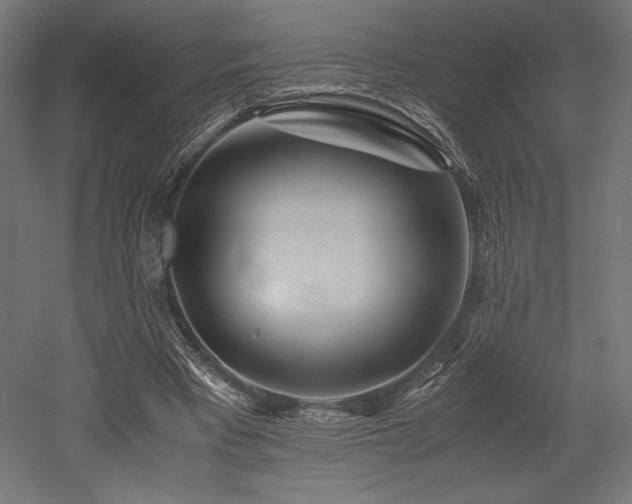X0000052650393200507011418