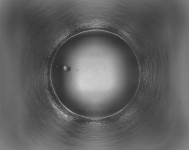 X0000052650394200507011418