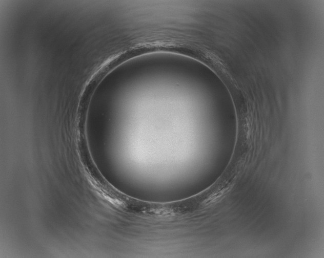 X0000052650395200507011418