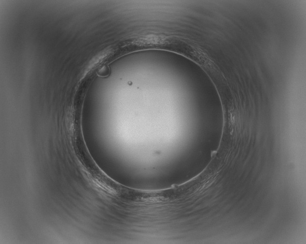 X0000052650396200507011418